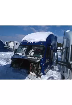 FREIGHTLINER CASCADIA 125 CAB