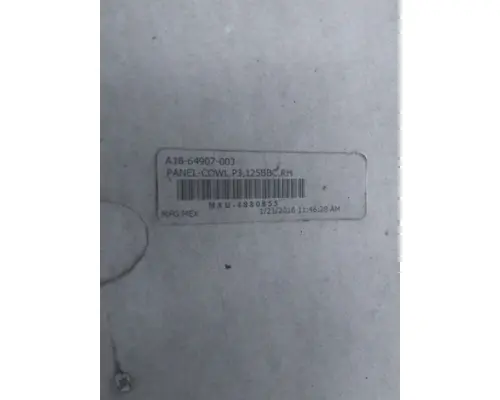 FREIGHTLINER CASCADIA 125 COWL