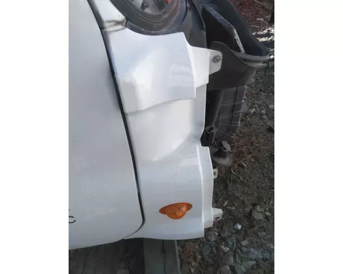 FREIGHTLINER CASCADIA 125 COWL