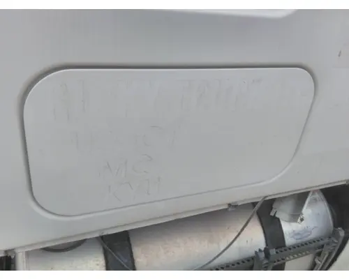 FREIGHTLINER CASCADIA 125 DOOR, COMPARTMENT