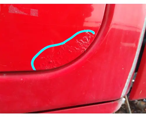 FREIGHTLINER CASCADIA 125 DOOR, COMPARTMENT