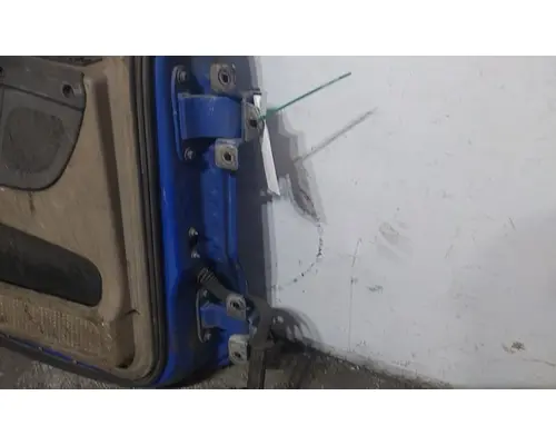 FREIGHTLINER CASCADIA 125 DOOR ASSEMBLY, FRONT