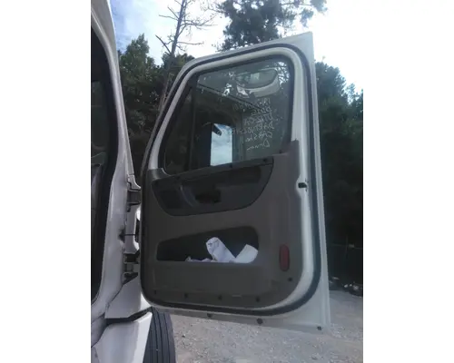 FREIGHTLINER CASCADIA 125 DOOR ASSEMBLY, FRONT