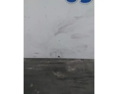 FREIGHTLINER CASCADIA 125 DOOR ASSEMBLY, FRONT