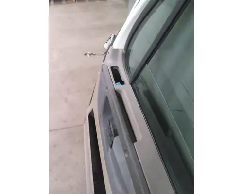 FREIGHTLINER CASCADIA 125 DOOR ASSEMBLY, FRONT