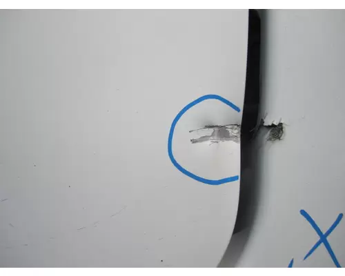 FREIGHTLINER CASCADIA 125 DOOR ASSEMBLY, FRONT