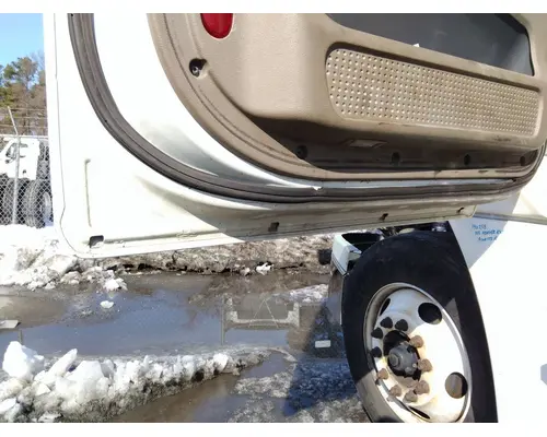 FREIGHTLINER CASCADIA 125 DOOR ASSEMBLY, FRONT