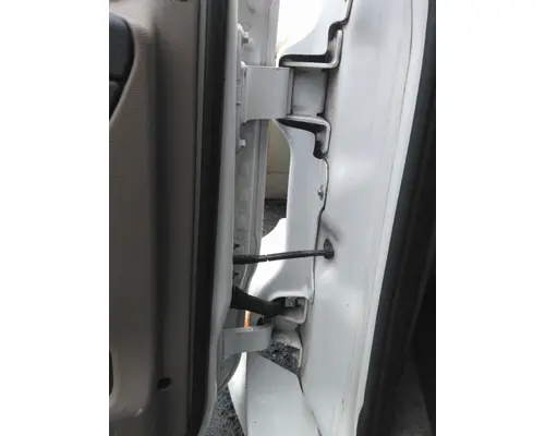 FREIGHTLINER CASCADIA 125 DOOR ASSEMBLY, FRONT
