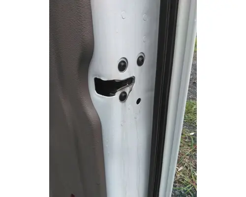 FREIGHTLINER CASCADIA 125 DOOR ASSEMBLY, FRONT