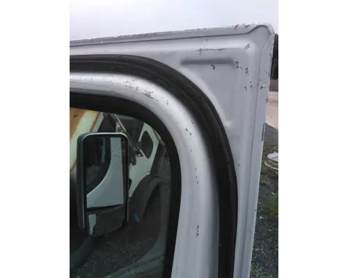 FREIGHTLINER CASCADIA 125 DOOR ASSEMBLY, FRONT