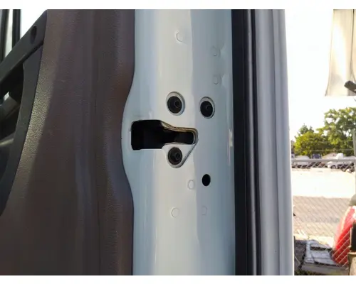 FREIGHTLINER CASCADIA 125 DOOR ASSEMBLY, FRONT
