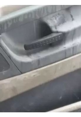 FREIGHTLINER CASCADIA 125 DOOR HANDLE