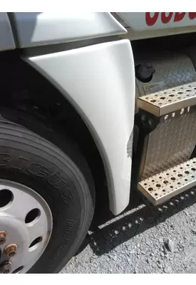 FREIGHTLINER CASCADIA 125 FENDER EXTENSION