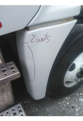 FREIGHTLINER CASCADIA 125 FENDER EXTENSION