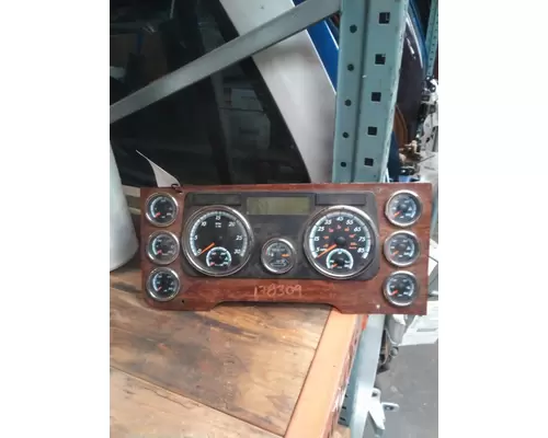 FREIGHTLINER CASCADIA 125 GAUGE CLUSTER