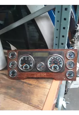 FREIGHTLINER CASCADIA 125 GAUGE CLUSTER