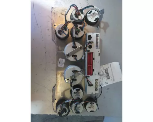 FREIGHTLINER CASCADIA 125 GAUGE CLUSTER