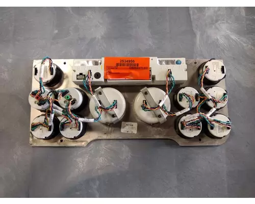 FREIGHTLINER CASCADIA 125 GAUGE CLUSTER