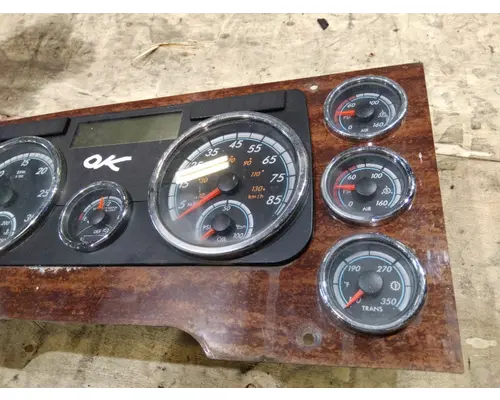 FREIGHTLINER CASCADIA 125 GAUGE CLUSTER