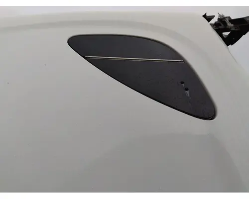 FREIGHTLINER CASCADIA 125 GLASS, SLEEPER