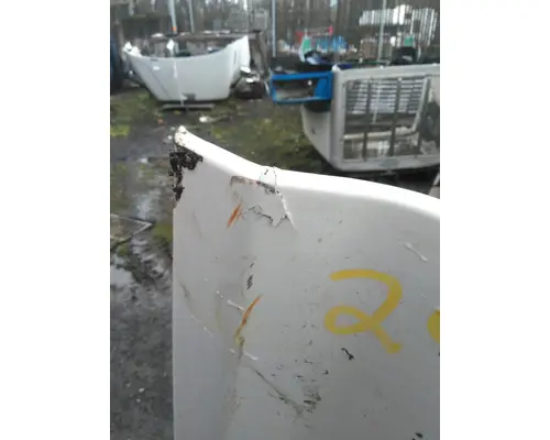 FREIGHTLINER CASCADIA 125 HOOD