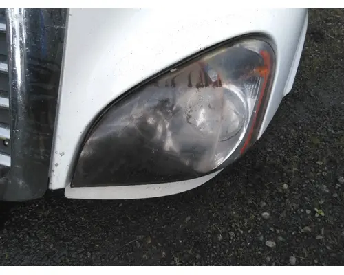 FREIGHTLINER CASCADIA 125 HOOD