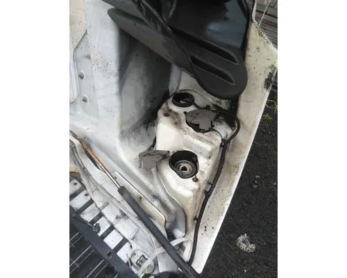 FREIGHTLINER CASCADIA 125 HOOD