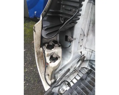 FREIGHTLINER CASCADIA 125 HOOD