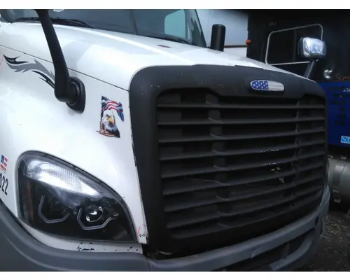 FREIGHTLINER CASCADIA 125 HOOD