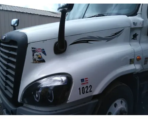 FREIGHTLINER CASCADIA 125 HOOD