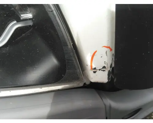 FREIGHTLINER CASCADIA 125 HOOD