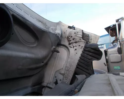 FREIGHTLINER CASCADIA 125 HOOD