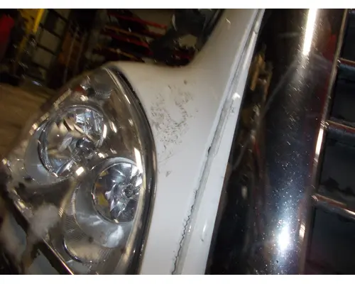 FREIGHTLINER CASCADIA 125 HOOD