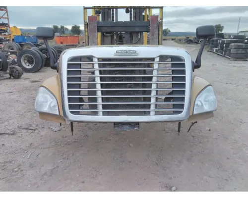 FREIGHTLINER CASCADIA 125 HOOD