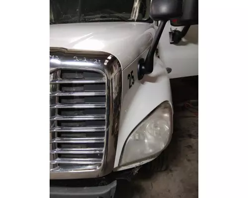 FREIGHTLINER CASCADIA 125 HOOD