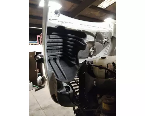 FREIGHTLINER CASCADIA 125 HOOD
