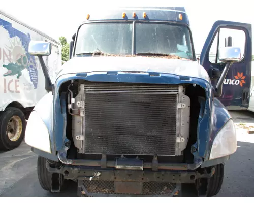 FREIGHTLINER CASCADIA 125 HOOD