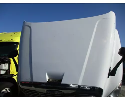 FREIGHTLINER CASCADIA 125 HOOD