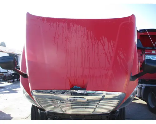 FREIGHTLINER CASCADIA 125 HOOD