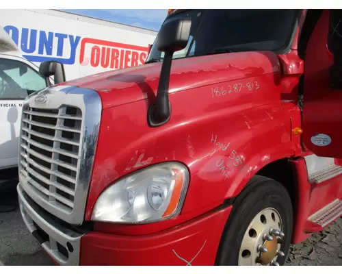 FREIGHTLINER CASCADIA 125 HOOD