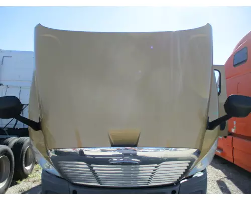 FREIGHTLINER CASCADIA 125 HOOD