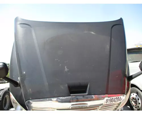 FREIGHTLINER CASCADIA 125 HOOD