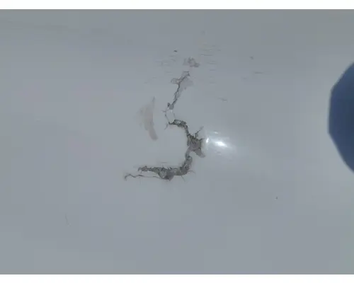 FREIGHTLINER CASCADIA 125 HOOD