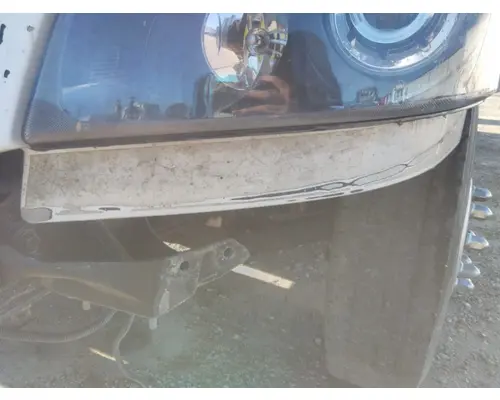 FREIGHTLINER CASCADIA 125 HOOD