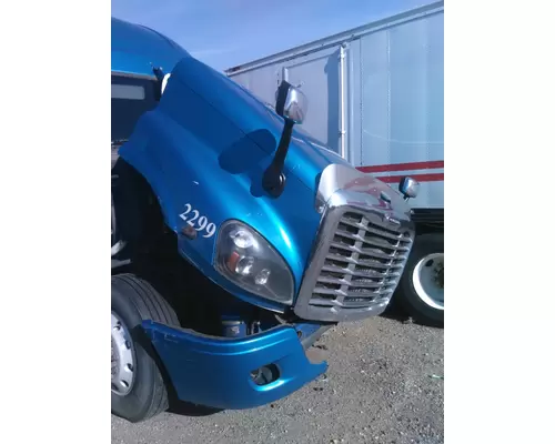 FREIGHTLINER CASCADIA 125 HOOD