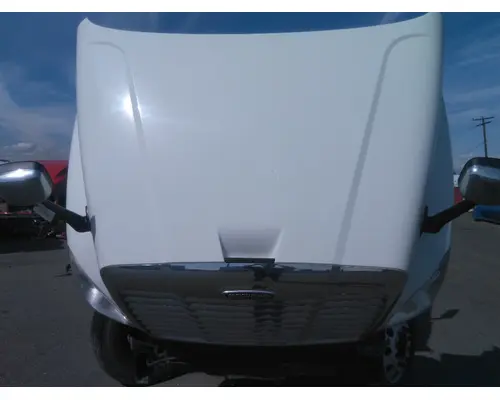 FREIGHTLINER CASCADIA 125 HOOD