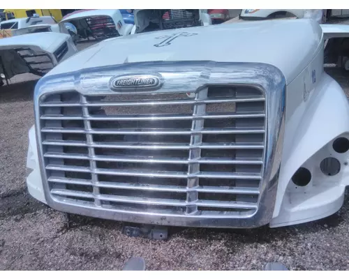 FREIGHTLINER CASCADIA 125 HOOD