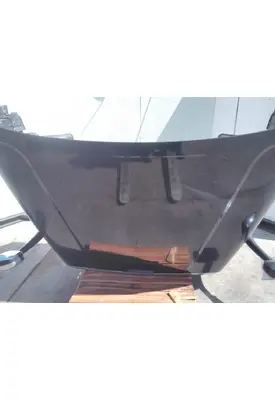 FREIGHTLINER CASCADIA 125 HOOD