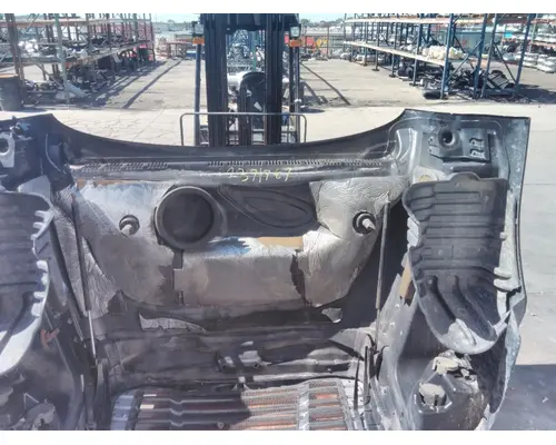 FREIGHTLINER CASCADIA 125 HOOD
