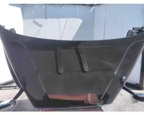 FREIGHTLINER CASCADIA 125 HOOD